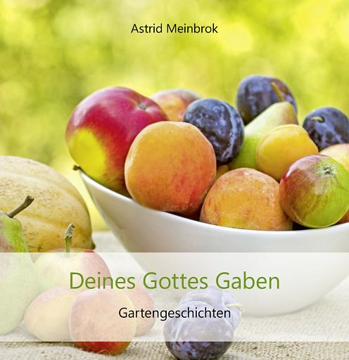 Deines Gottes Gaben, gebunden, Geschenkbuch