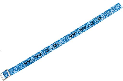 Gewebtes Armband - W.W.J.D., blau/weiß