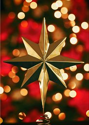 Weihnachtskarte „Weihnachtsstern“