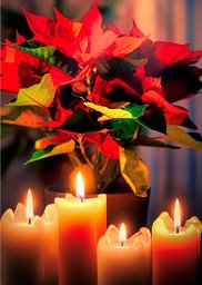Advents- und Weihnachtskarte mit Christstern: Weihnachtskarten