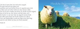 Klappkarte Psalm 23 (viele Anlässe)