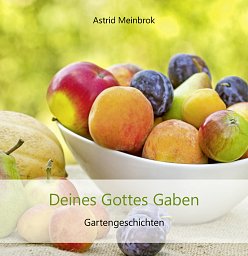 Deines Gottes Gaben, Geschenkbuch kartoniert