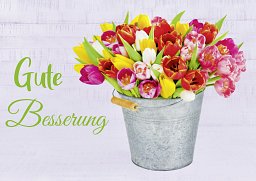 Alster-Karte Gute Besserung