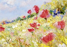 Alster-Karte ArtEdition Mohnwiese