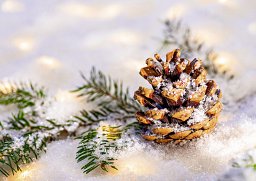 Alster-Karte 148: Weihnachtszeit