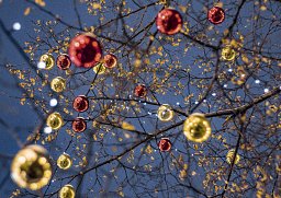 Alster-Karte Weihnachten