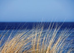 Alster-Karte Morgensegen