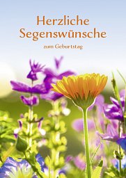 10er Set Faltkarte Herzliche Segenswünsche