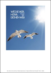 Einlegeblatt Weise mir, Herr, deinen Weg