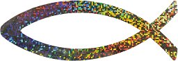 Magnetfolie Fisch Regenbogen