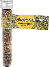 Samen Bienenbuffet Gottes Schöpfung